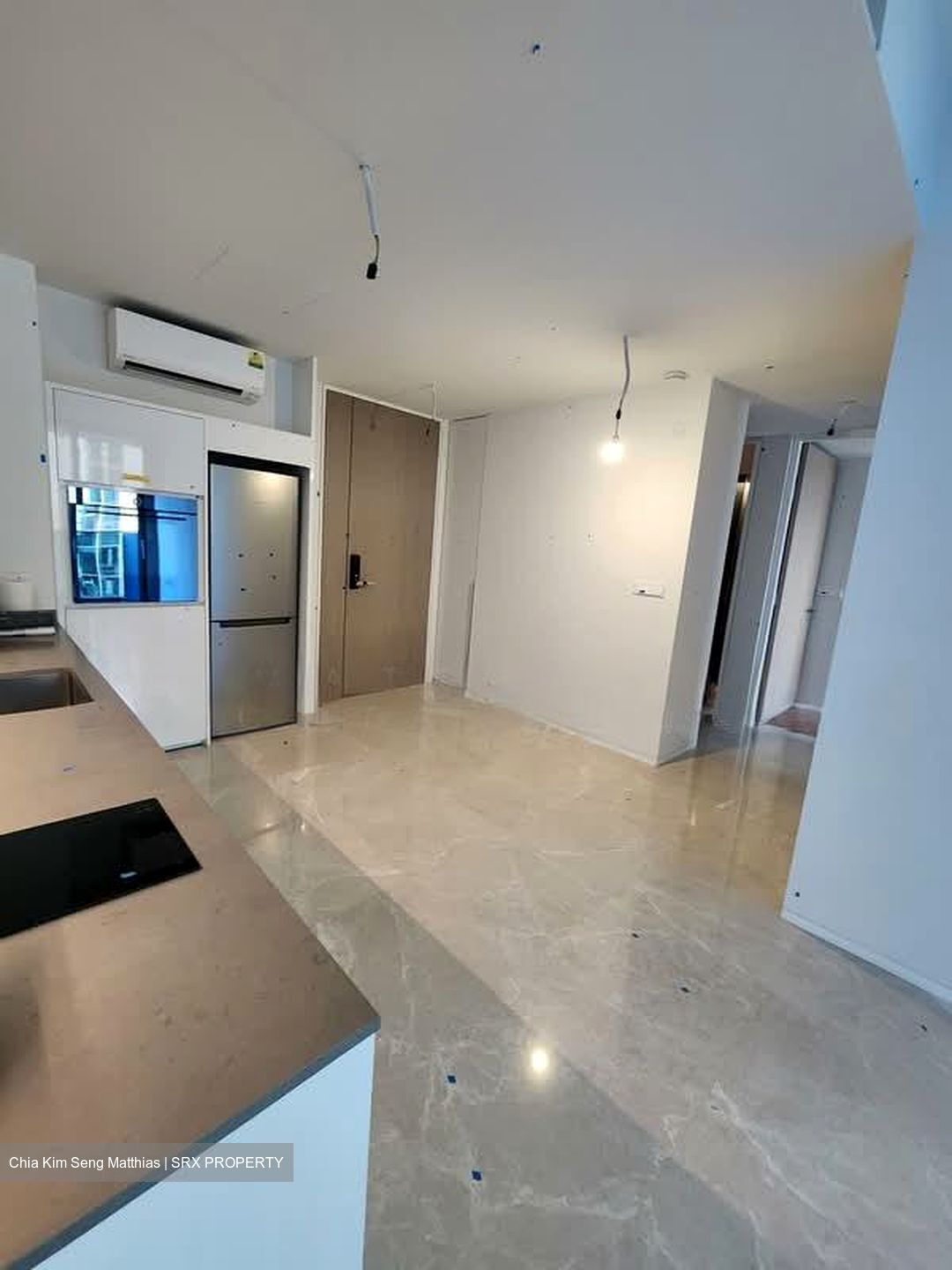Amber Park (D15), Condominium #534847091